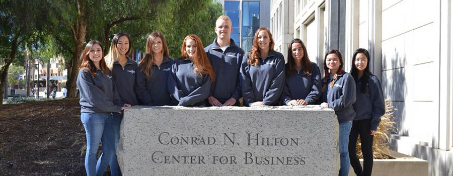 Business plan lmu picture