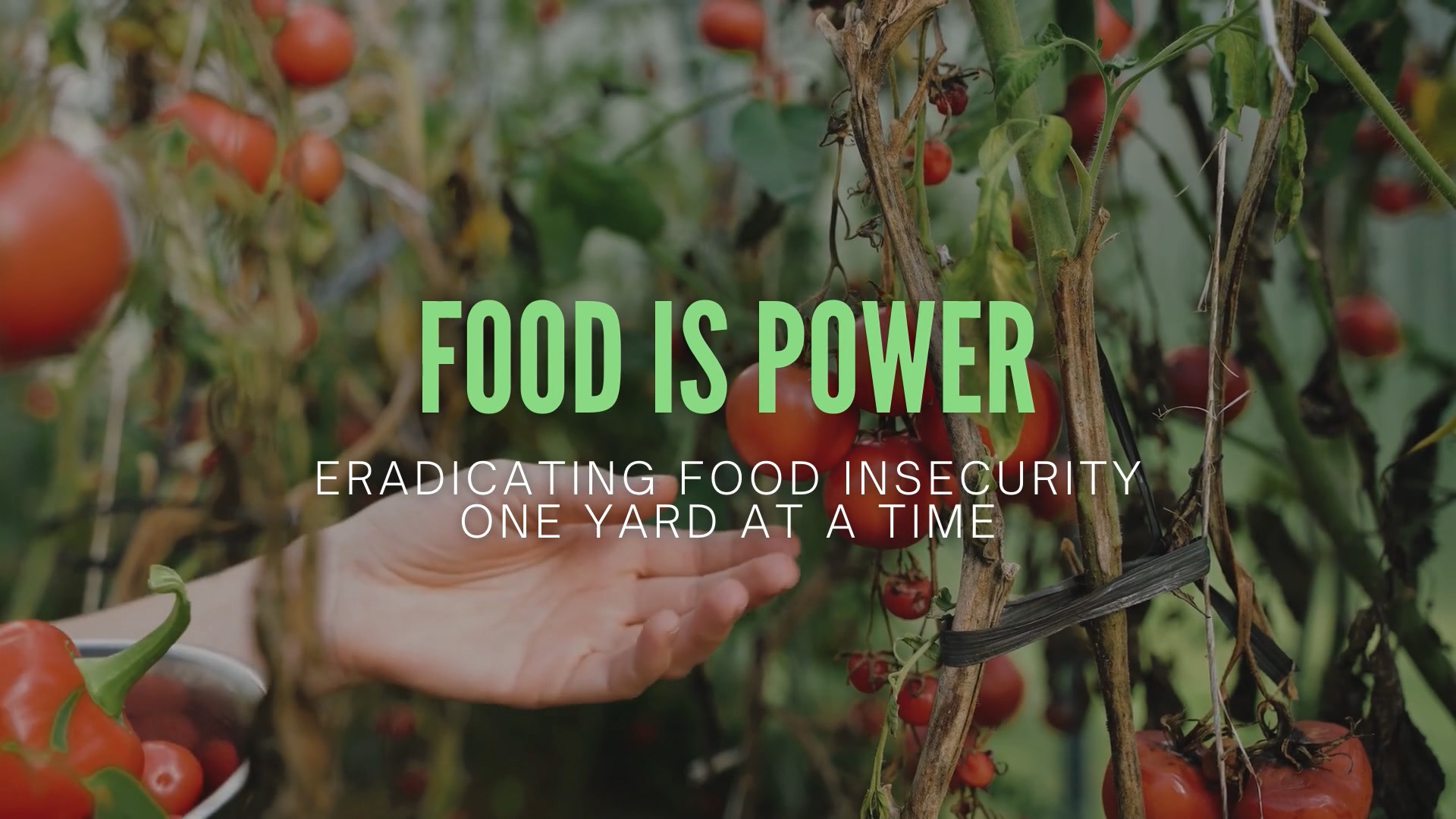 ALL IN Challenge - Help eliminate food insecurity. Enter to Win the All In  Challenge today